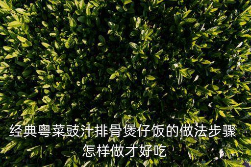 經典粵菜豉汁排骨煲仔飯的做法步驟 怎樣做才好吃