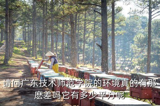 廣東技術(shù)師范，廣東技術(shù)師范學(xué)院怎么樣