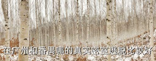 廣州番禺密室俱樂部，在廣州和番禺哪的真實密室逃脫比較好