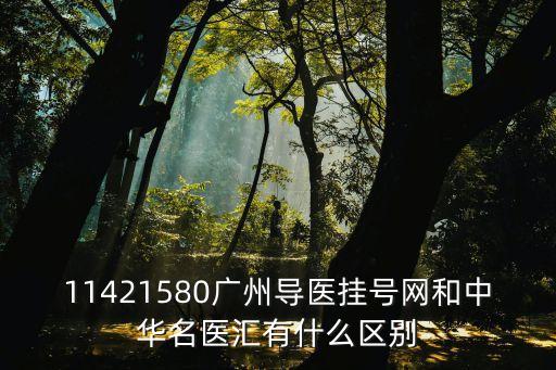 11421580廣州導醫掛號網和中華名醫匯有什么區別