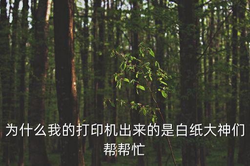 為什么我的打印機出來的是白紙大神們幫幫忙