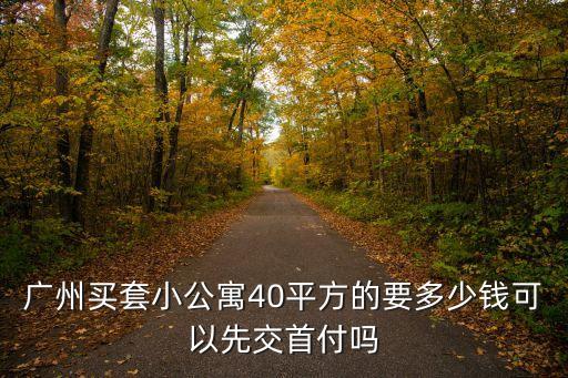 廣州買套小公寓40平方的要多少錢可以先交首付嗎