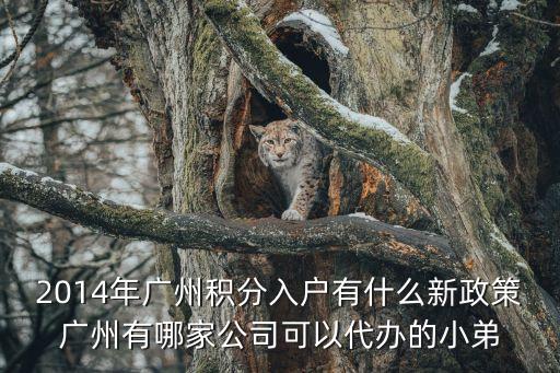 廣州換援名額排名，廣州有哪些高中有交換生的名額作為交換生需要什么條件  搜