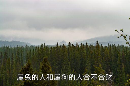 屬兔的人和屬狗的人合不合財