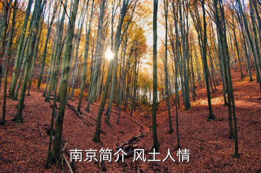 南京簡歷，南京簡介 風土人情
