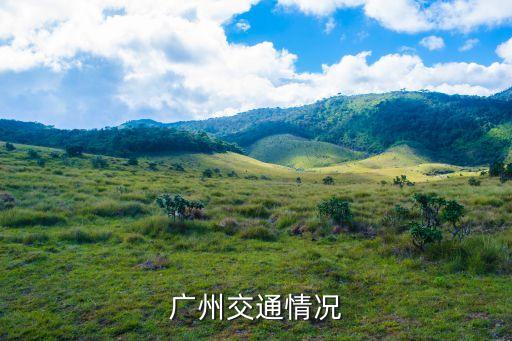 廣州交警廣播視頻，廣州交通情況