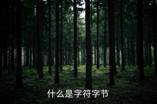 什么是字符字節