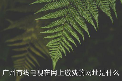 廣州白云區有線電視怎么網上繳費，請問廣州有線電視在哪里交費