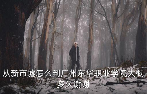 從新市墟怎么到廣州東華職業學院大概多久謝謝