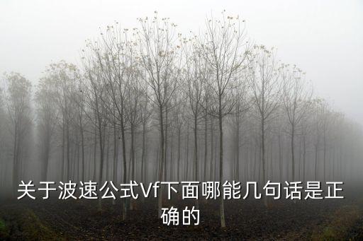 關于波速公式Vf下面哪能幾句話是正確的