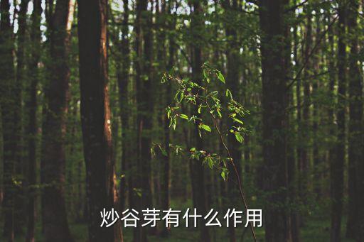 炒稻芽的功效與作用，炒麥芽泡水喝有什么作用