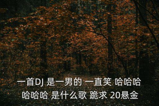 一首DJ 是一男的 一直笑 哈哈哈 哈哈哈 是什么歌 跪求 20懸金