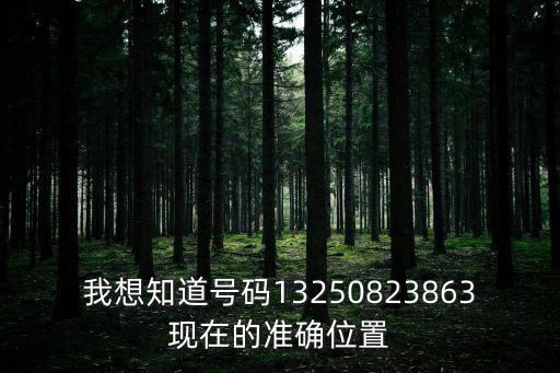 我想知道號碼13250823863現(xiàn)在的準確位置