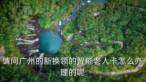 請(qǐng)問廣州的新?lián)Q領(lǐng)的智能老人卡怎么辦理的呢