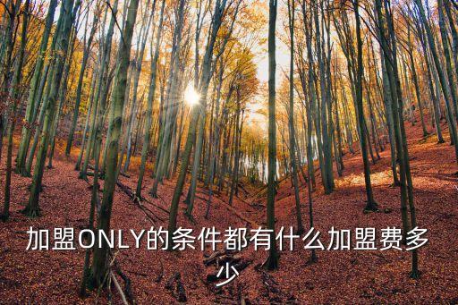 加盟ONLY的條件都有什么加盟費多少