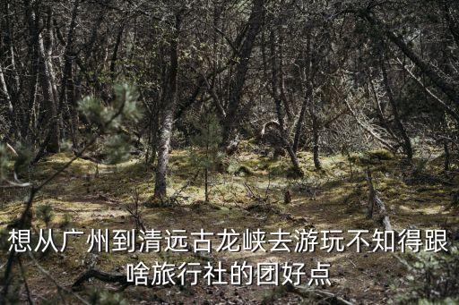 廣州團購古龍峽漂流，下周想去清遠的古龍峽漂流想問團購和報團價錢都一樣哪一個會更