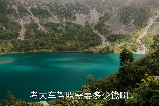 考大車駕照需要多少錢啊