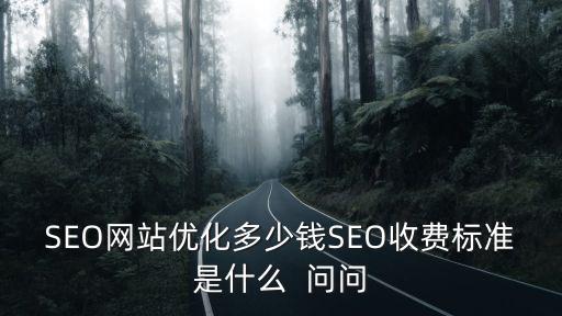 SEO網站優化多少錢SEO收費標準是什么  問問