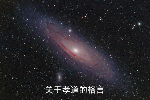 孝道的名言，關于孝道的格言