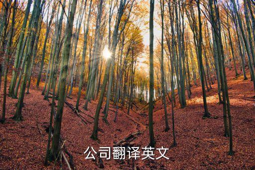 公司英文翻譯，公司翻譯英文