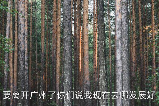 要離開廣州了你們說我現(xiàn)在去哪發(fā)展好