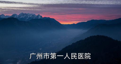 廣州市第一人民醫院