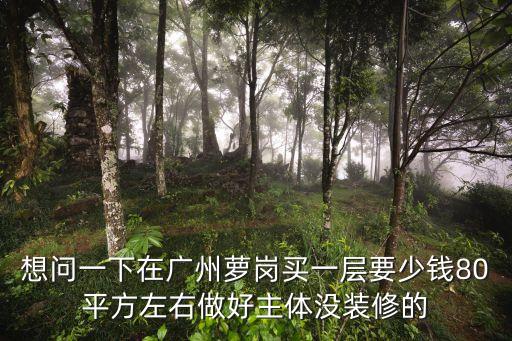 想問一下在廣州蘿崗買一層要少錢80平方左右做好主體沒裝修的