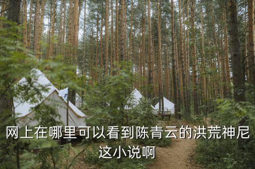 洪荒神尼，網(wǎng)上在哪里可以看到陳青云的洪荒神尼這小說啊
