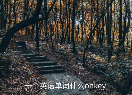 一個英語單詞什么onkey