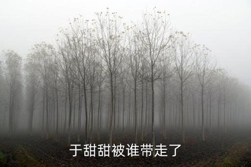 于甜甜被誰帶走了