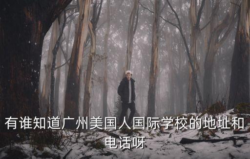有誰知道廣州美國人國際學校的地址和電話呀
