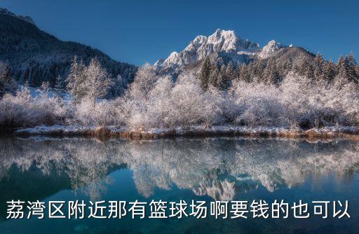 我附近的籃球場，荔灣區附近那有籃球場啊要錢的也可以