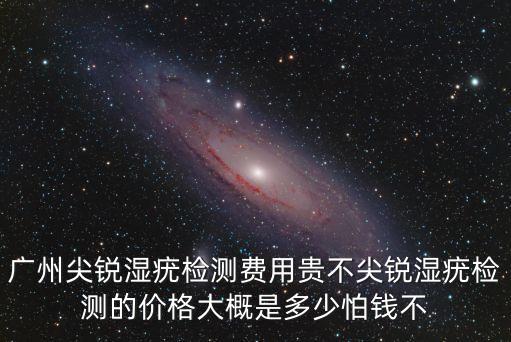 廣州探針價格，探針多少錢一個