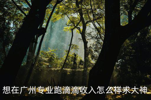 想在廣州專業跑滴滴收入怎么樣求大神