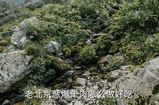 蔥爆羊肉家常做法，怎么燒蔥爆羊肉