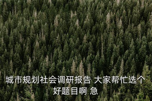 城市規劃社會調研報告 大家幫忙選個好題目啊 急