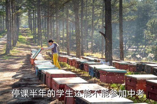 廣州停課會延遲中考嗎，停課半年的學(xué)生還能不能參加中考