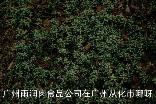 廣州雨潤肉食品公司在廣州從化市哪呀
