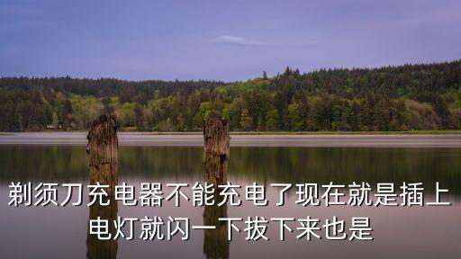 剃須刀充電器不能充電了現(xiàn)在就是插上電燈就閃一下拔下來(lái)也是