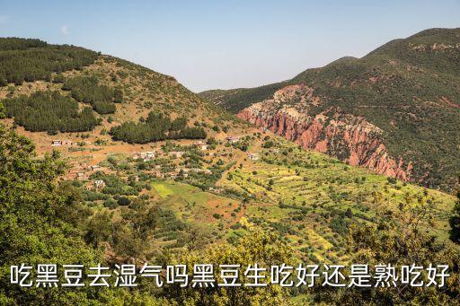 吃黑豆去濕氣嗎黑豆生吃好還是熟吃好