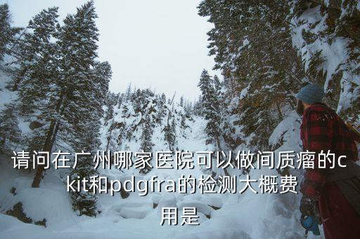 請問在廣州哪家醫院可以做間質瘤的c kit和pdgfra的檢測大概費用是