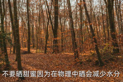 曬甜蜜，不要曬甜蜜因為在物理中曬會減少水分