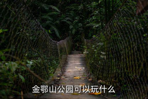 金鄂山公園可以玩什么