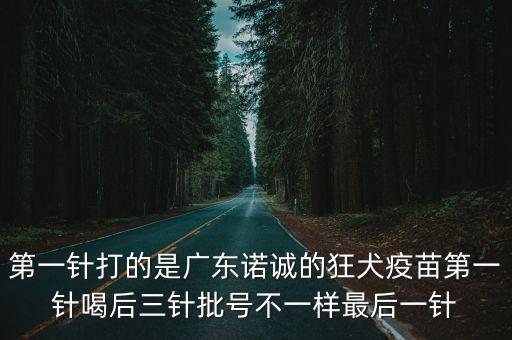 第一針打的是廣東諾誠的狂犬疫苗第一針喝后三針批號不一樣最后一針