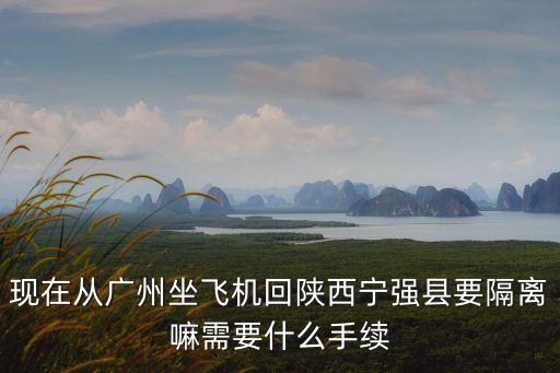 現在從廣州坐飛機回陜西寧強縣要隔離嘛需要什么手續