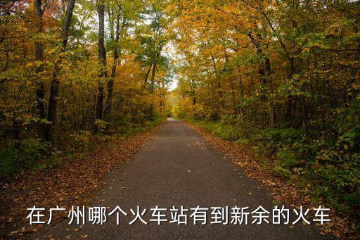新余到廣州高鐵圖片，從新余到廣東客車票多少錢一張