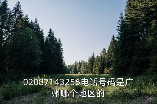 02087143256電話號碼是廣州哪個(gè)地區(qū)的