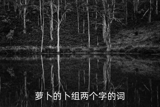 卜組詞兩個字，卜的組詞 卜組詞 卜字組詞 卜怎么組詞