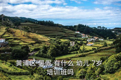 黃浦區 暑假 有什么 幼兒 7歲 培訓班嗎