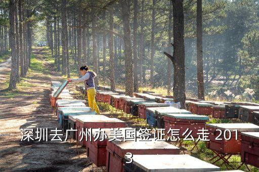 去廣州簽證要坐動車到哪個站，要去廣州美國領事館簽證坐武廣高鐵在廣州南站下車請問該如何去